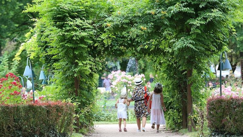 Les dimanches jardinés