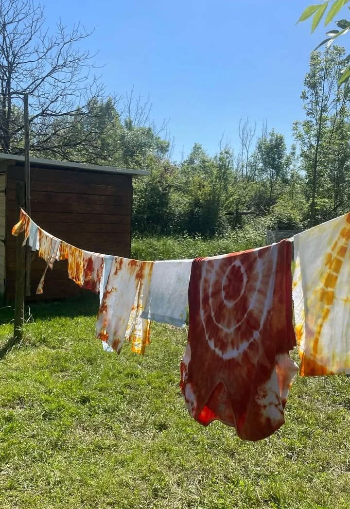 Atelier des p'tits curieux : "Immersion à la ferme : Une palette de couleur pour les lapins et cochons d'Inde!!"