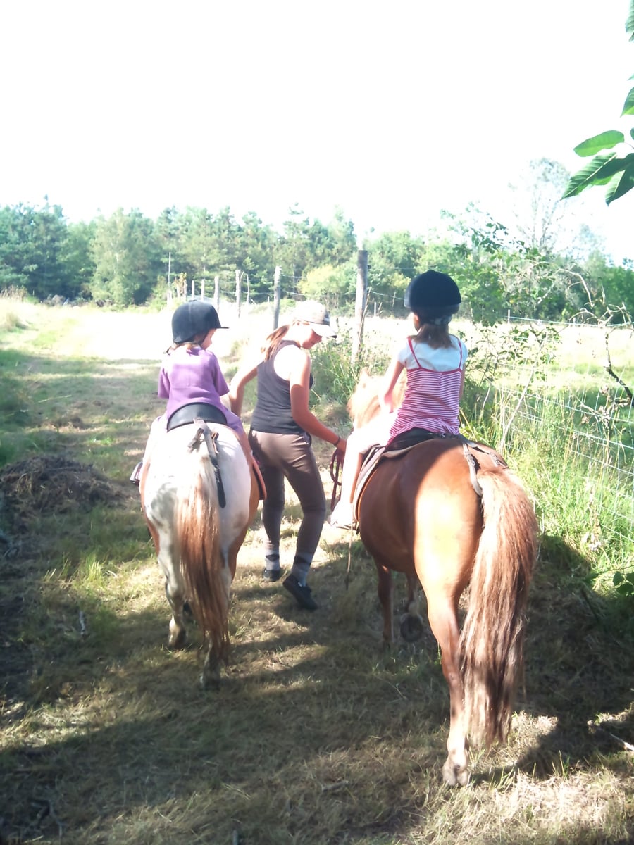 Journée nature & cheval