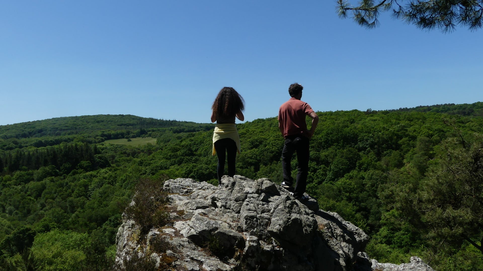 Rando contée en forêt de Coat-an-Noz