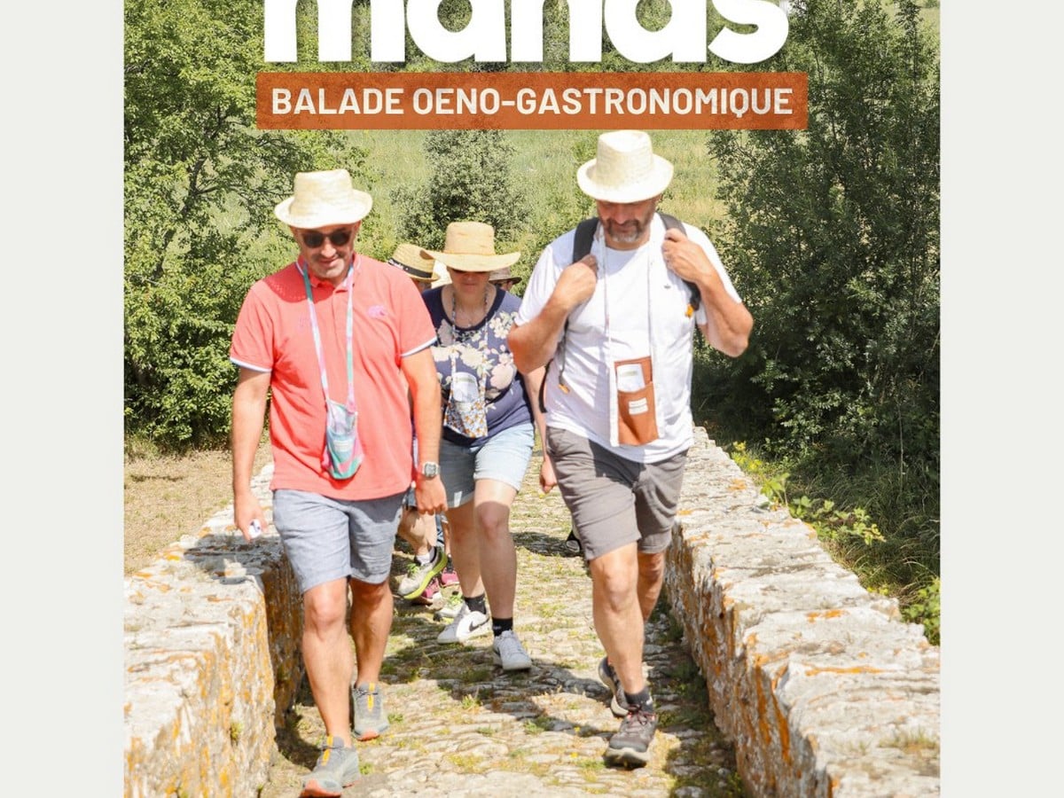 BALADE VIGNERONNE ET GASTRONOMIQUE - LES PAS GOURMANDS