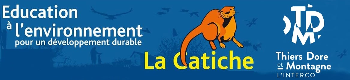 La balade de Pipistrelle au lac de Saint-Rémy sur Durolle