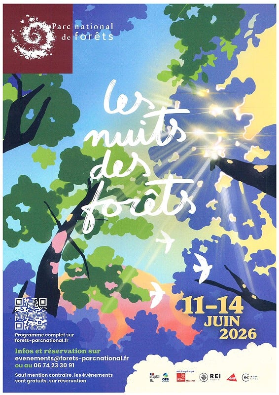 Les Nuits des Forêts - Chemin sonnants
