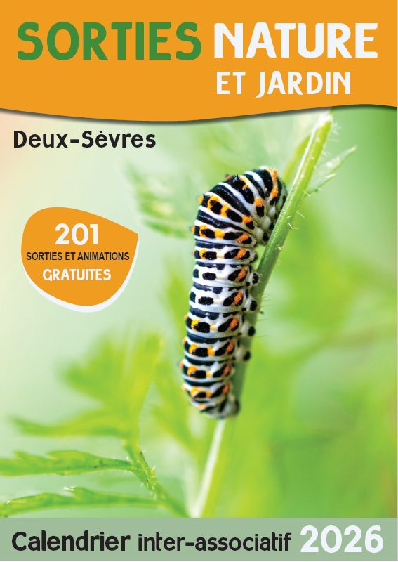 SORTIES NATURE : FORMATION IDENTIFICATION DES EXUVIES