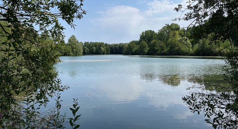 Découverte des plans d’eau avec l’association Les Corbeaux Gâtinais Nature