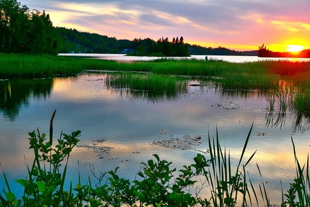 Balade nature : Préventions des tiques