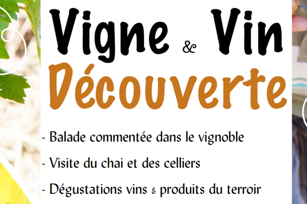 Vigne & vin découverte | Domaine du Siorac