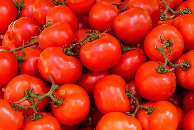 Fête de la Tomate