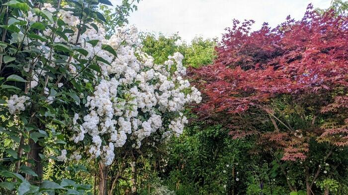 Jardin aux oiseaux (visites guidées et visites libres) - Rendez-vous aux jardins