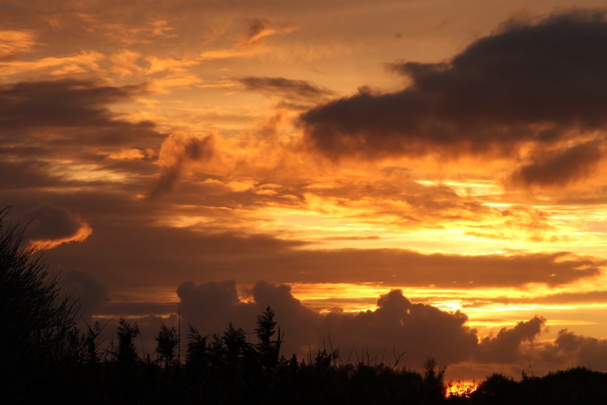 La Réserve au crépuscule