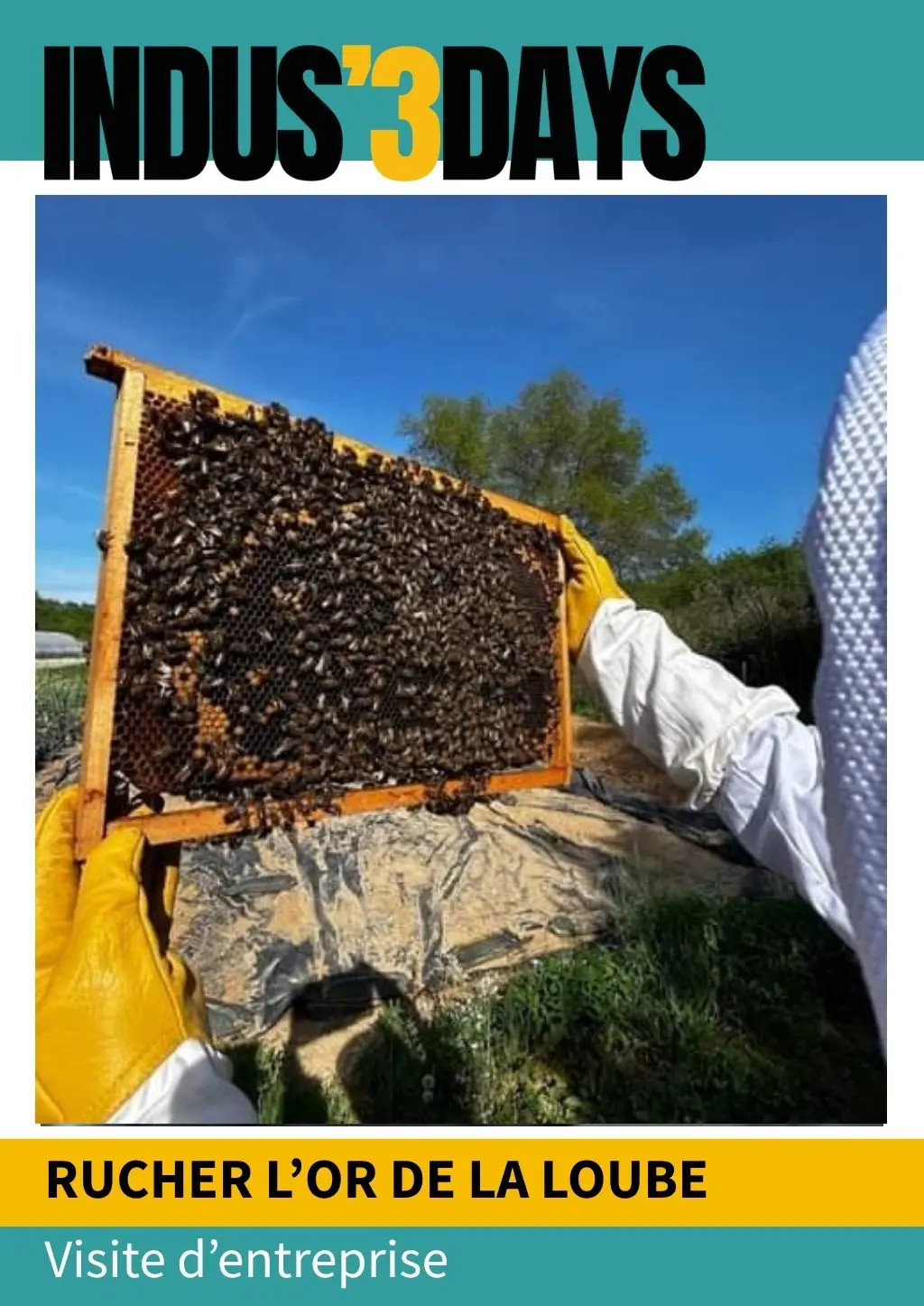 Visite du Rucher L'or de la Loube | Indus'3 Days