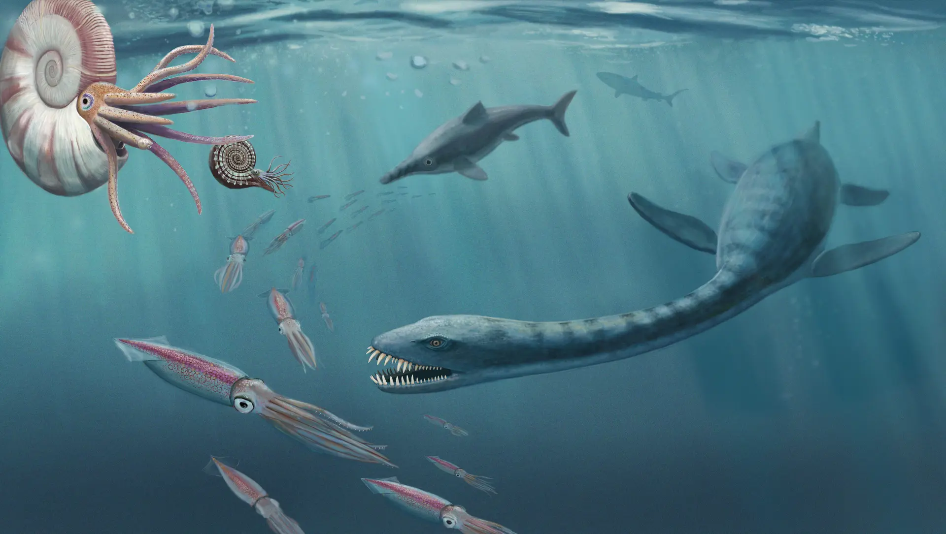 Rendez-vous Pays d'art et d'histoire