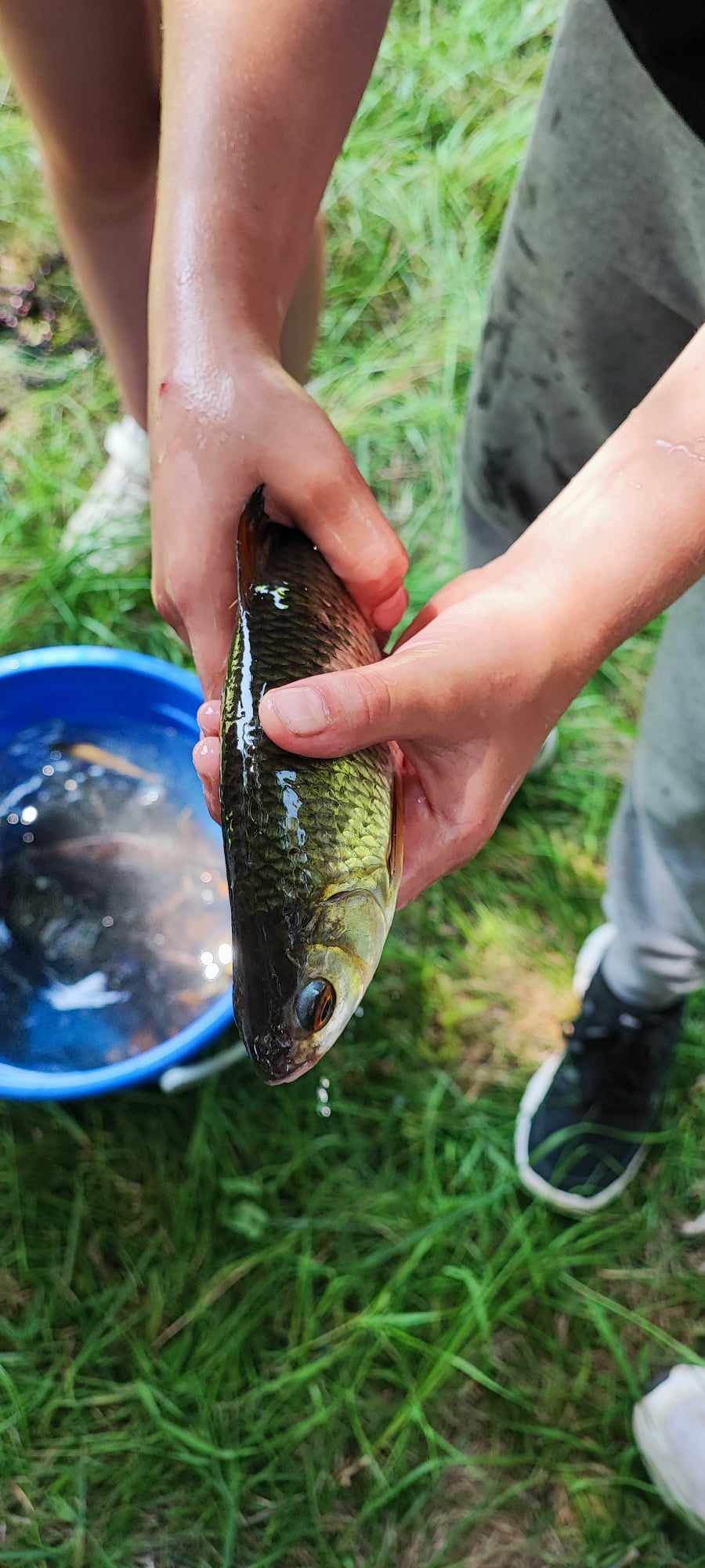 Atelier pêche à la friture