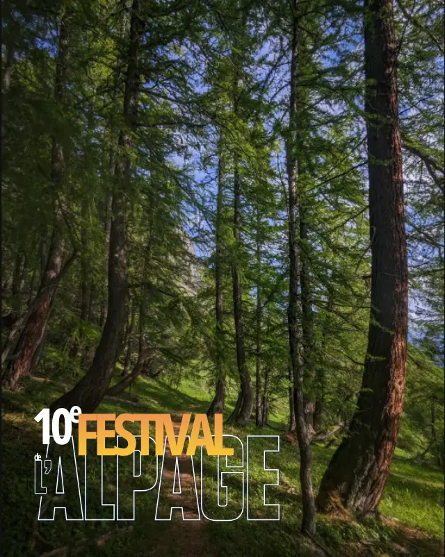 Festival de l'Alpage : Offrez vous un bain de forêt