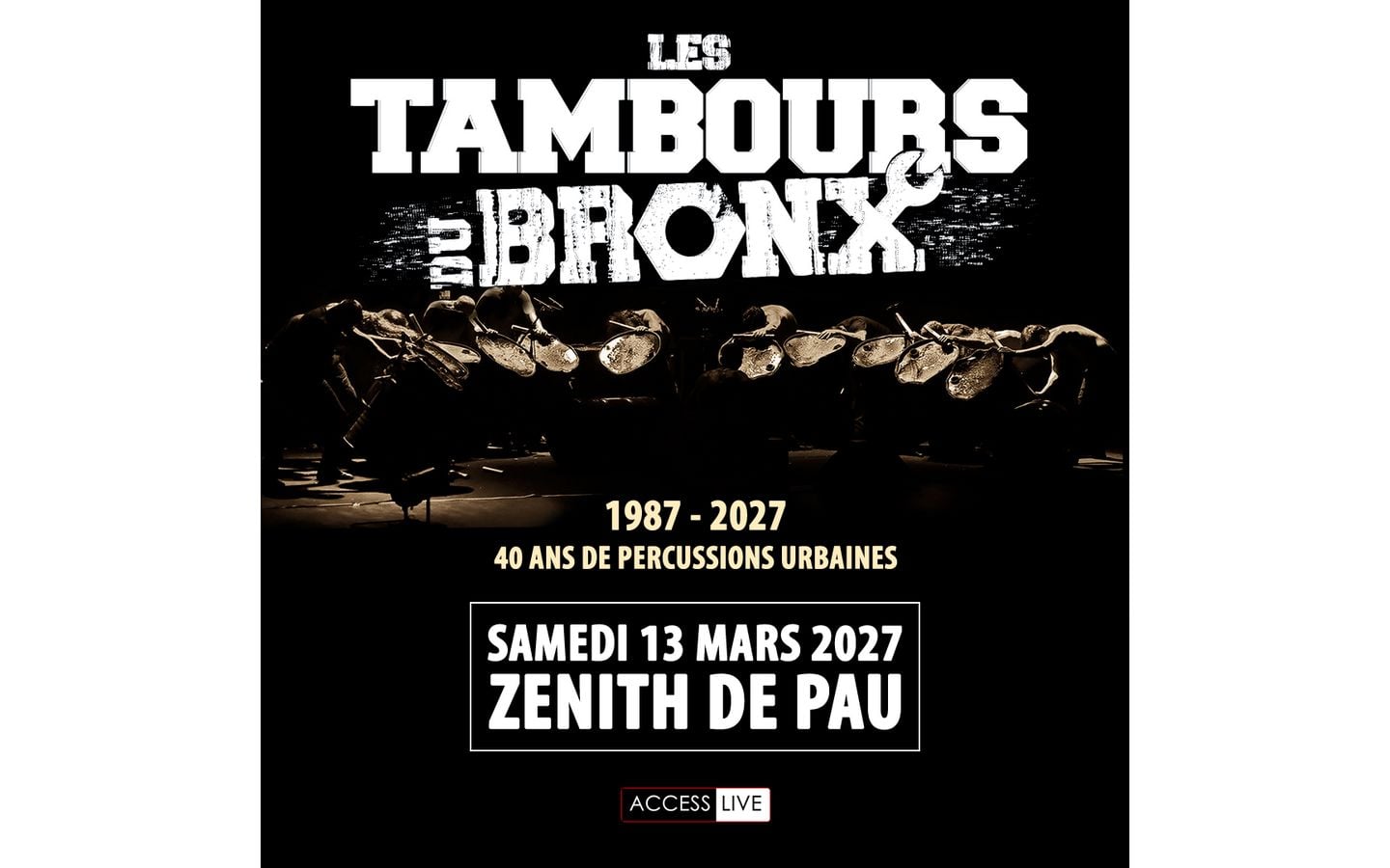 LES TAMBOURS DU BRONX