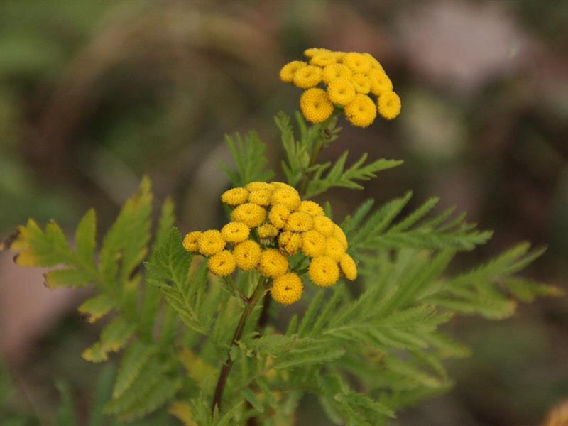 Transmettre nos expériences