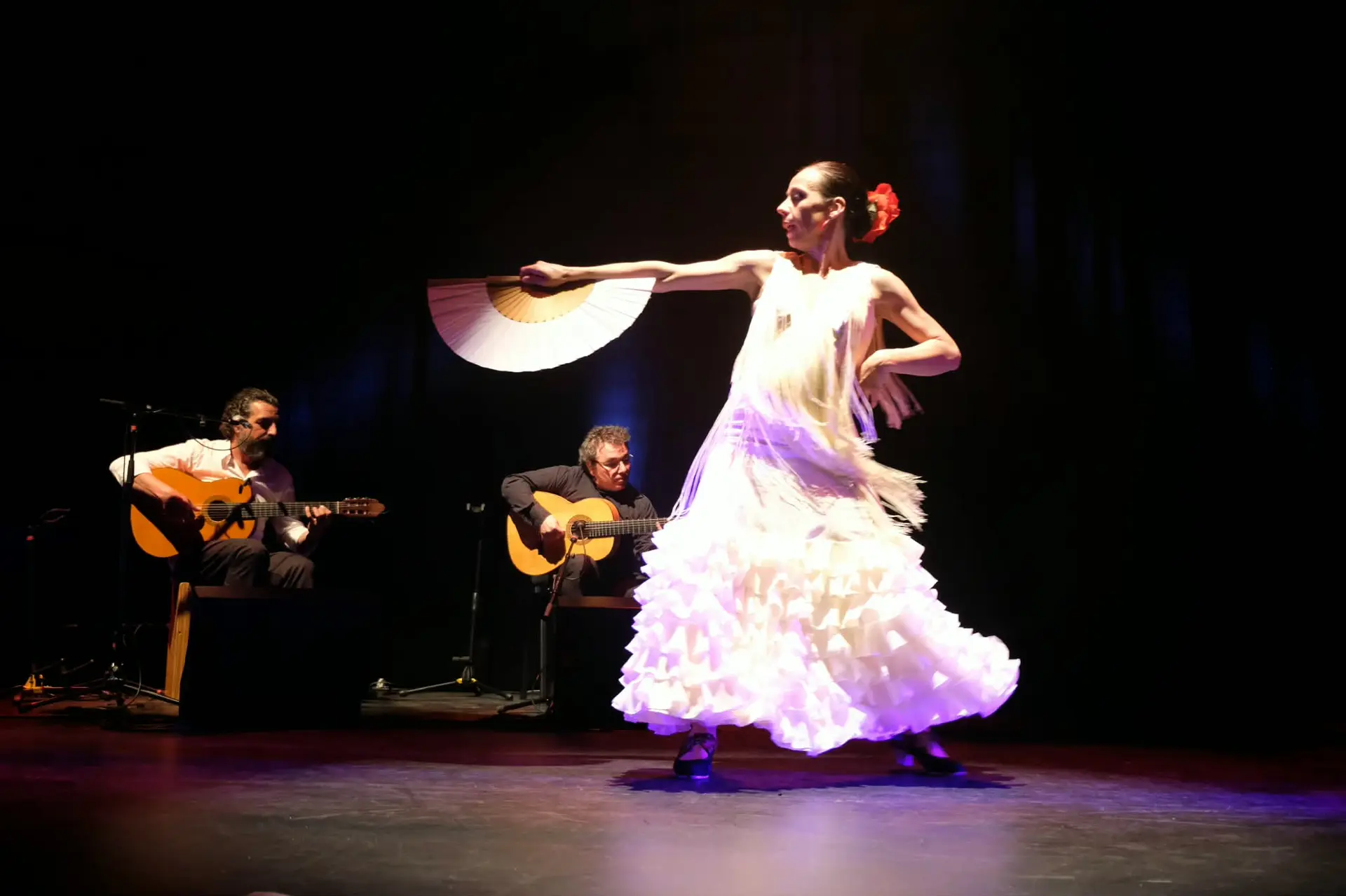 Spectacle Flamenco "Arteso y Caminando"