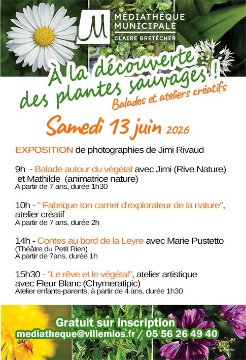 À la découverte des plantes sauvages