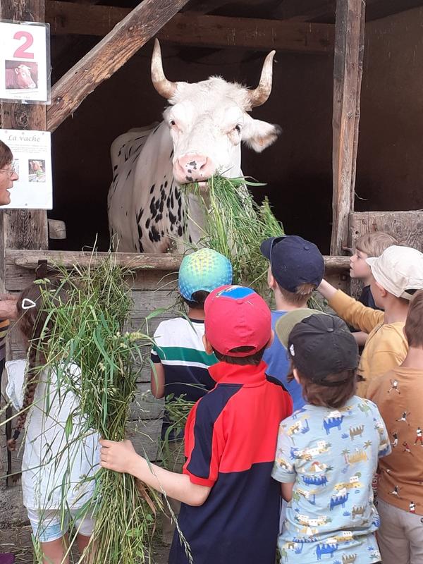 Parcours famille à la ferme