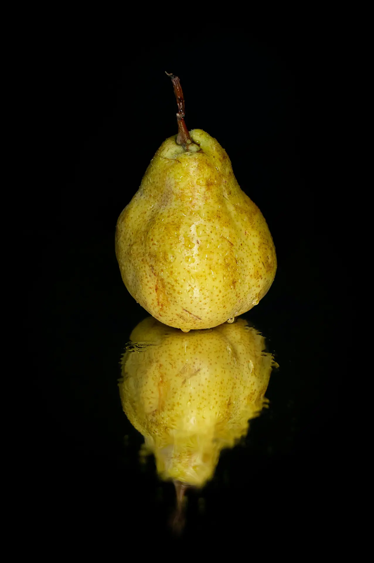 La poire Sarteau, voyage en pays de Draix