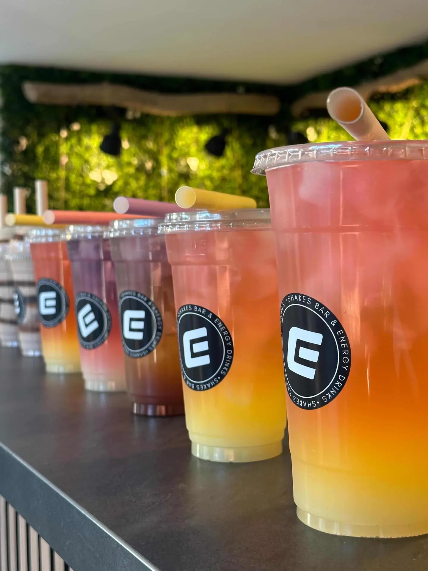 Inauguration Shake Bar Energy Center