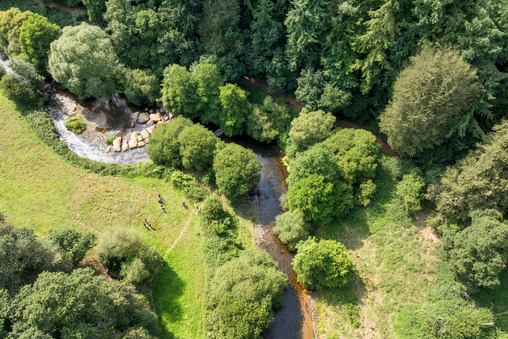 Le fabuleux destin du saumon atlantique