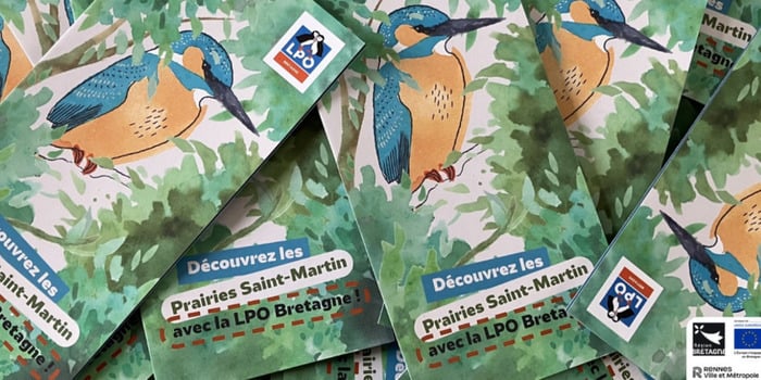 À la découverte des oiseaux des Prairies Saint-Martin à Rennes