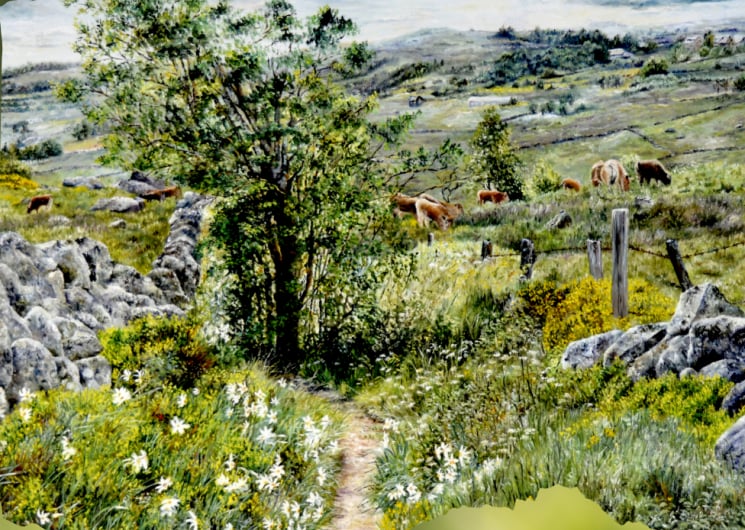 EXPO FRAGRANCES PRINTANIÈRES SUR L’AUBRAC