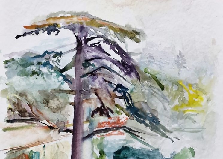 Exposition «Paysages» de Michel Steiner