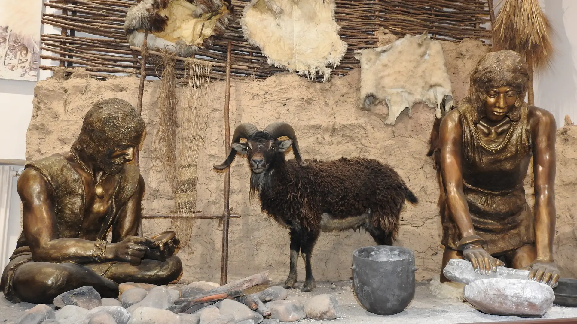 Nuit européenne des musées au Musée de Préhistoire régionale