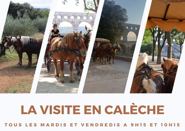 La visite en calèche au Pont du Gard