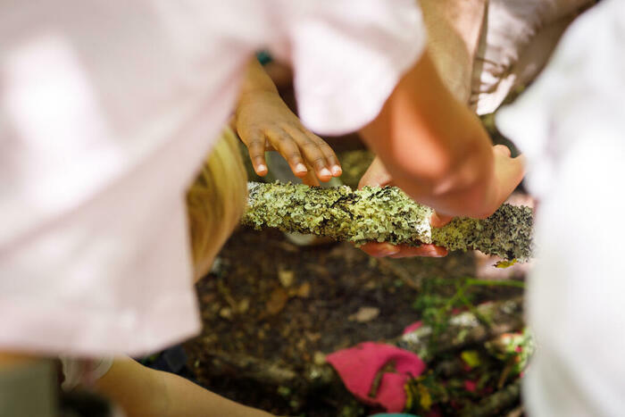 Forêt des petits et tout-petits