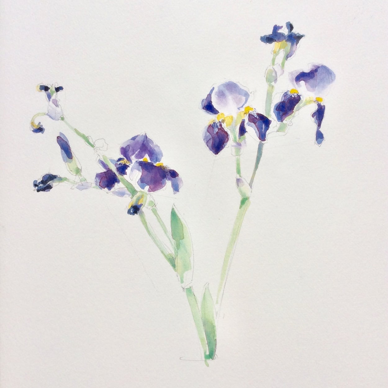Exposition - Peintures & Dessins de Marie-Sophie Méjan