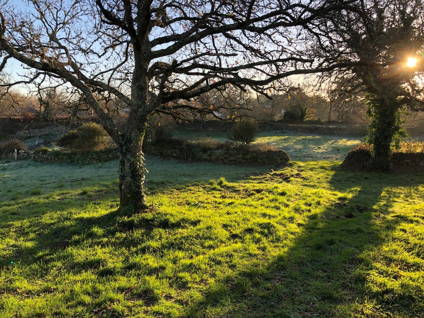 Les secrets du Yaudet, en anglais