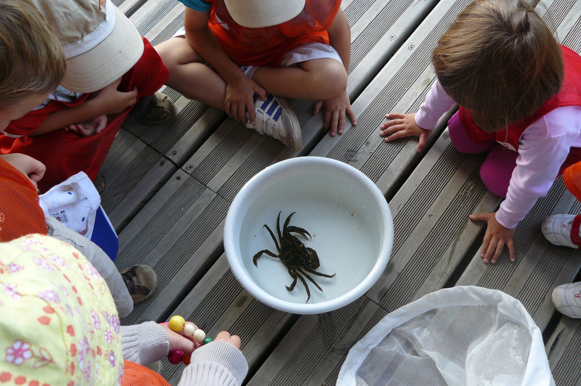 Rencontre biodiversité