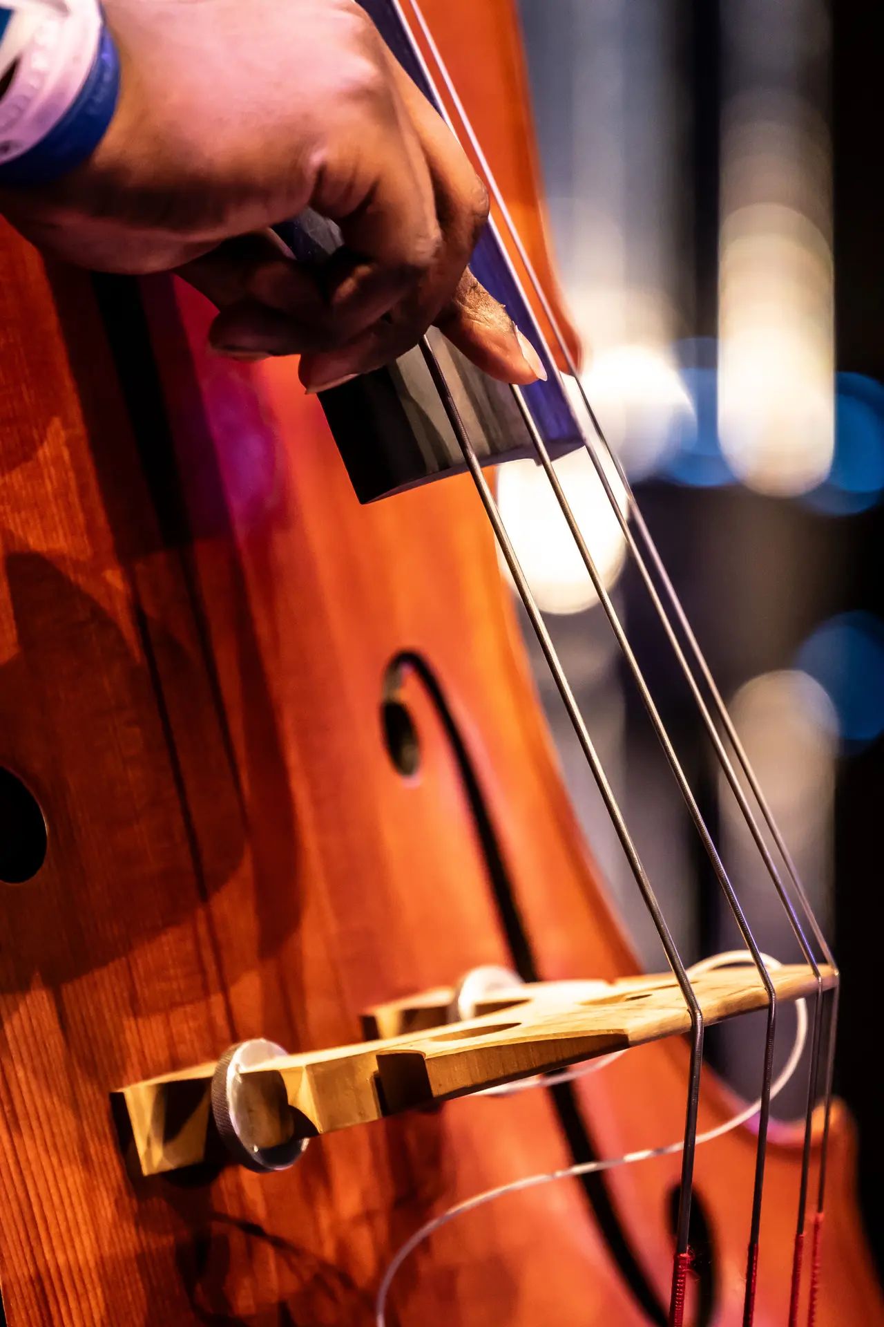 Concert : Koninklijke Biltse Harmonie