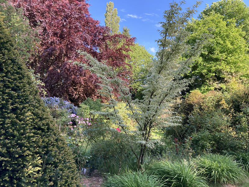 Rendez-Vous aux Jardins : « La vue » - Visite guidée du jardin Le Clos de Chanchore