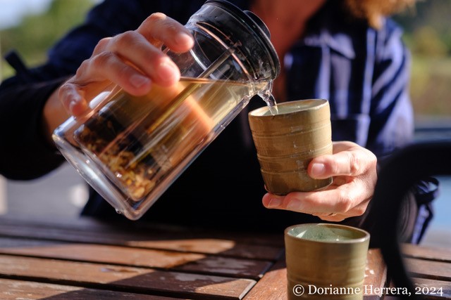 ATELIER HERBORISTE : FABRIQUER VOTRE PROPRE TISANE
