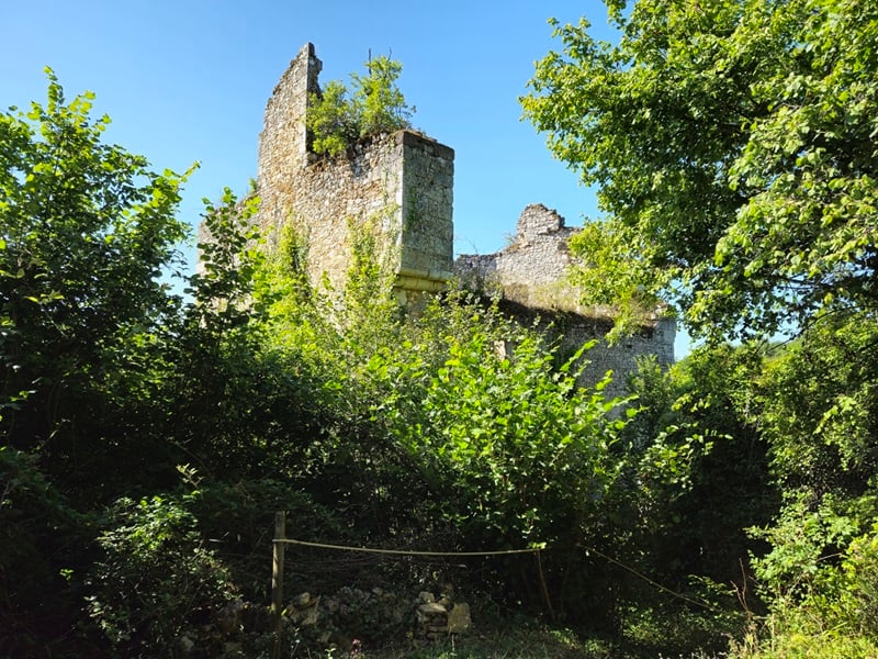 Théâtre : Shakespeare dans le parc "La Tempête"