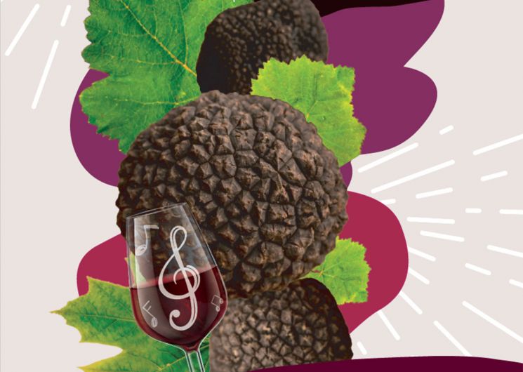 LES AMPÉLOFOLIES DU CABARDÈS – TRUFFE ET VIN