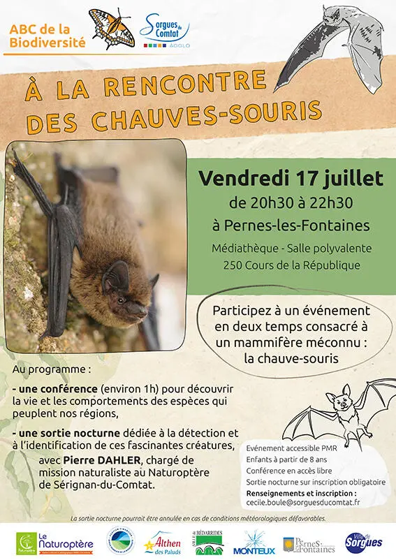 À la rencontre des chauves-souris