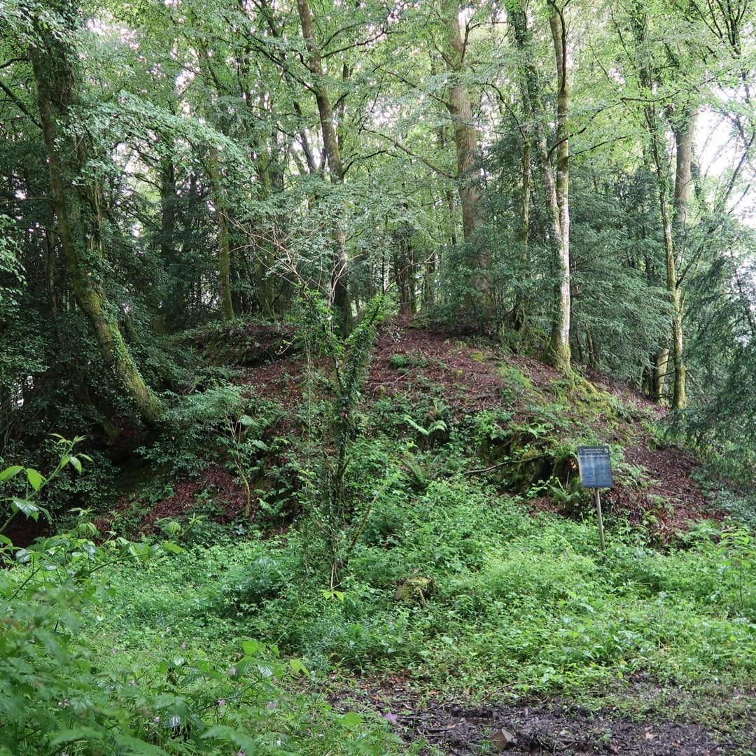 Beffou, motte ou pas motte ?