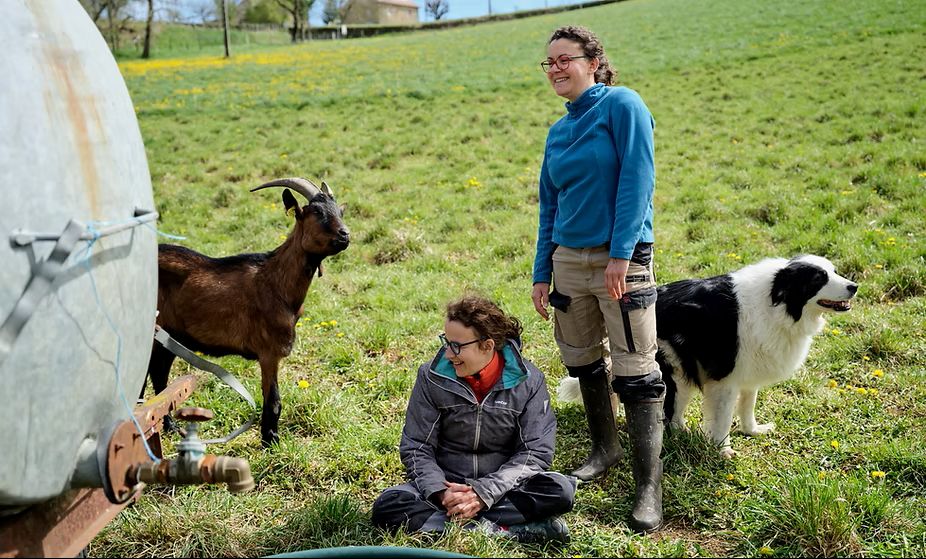 De ferme en ferme : Cabrioles de Balajou à Figeac