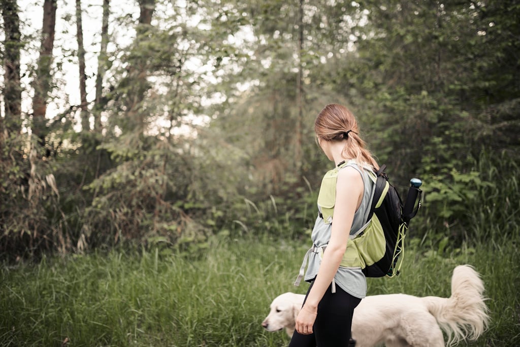 Rando et cani rando solidaires