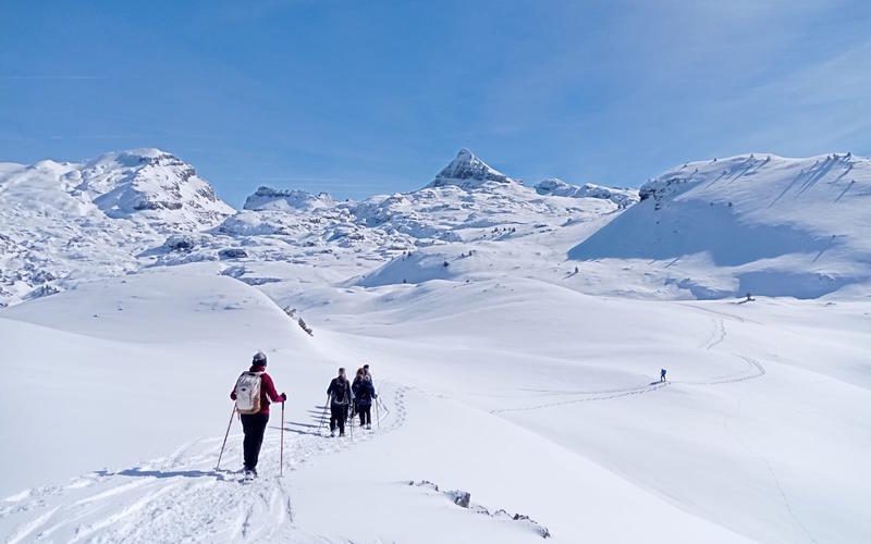 Randonnée accompagnée Mendi Gaiak : raquettes à neige (niveau 2)