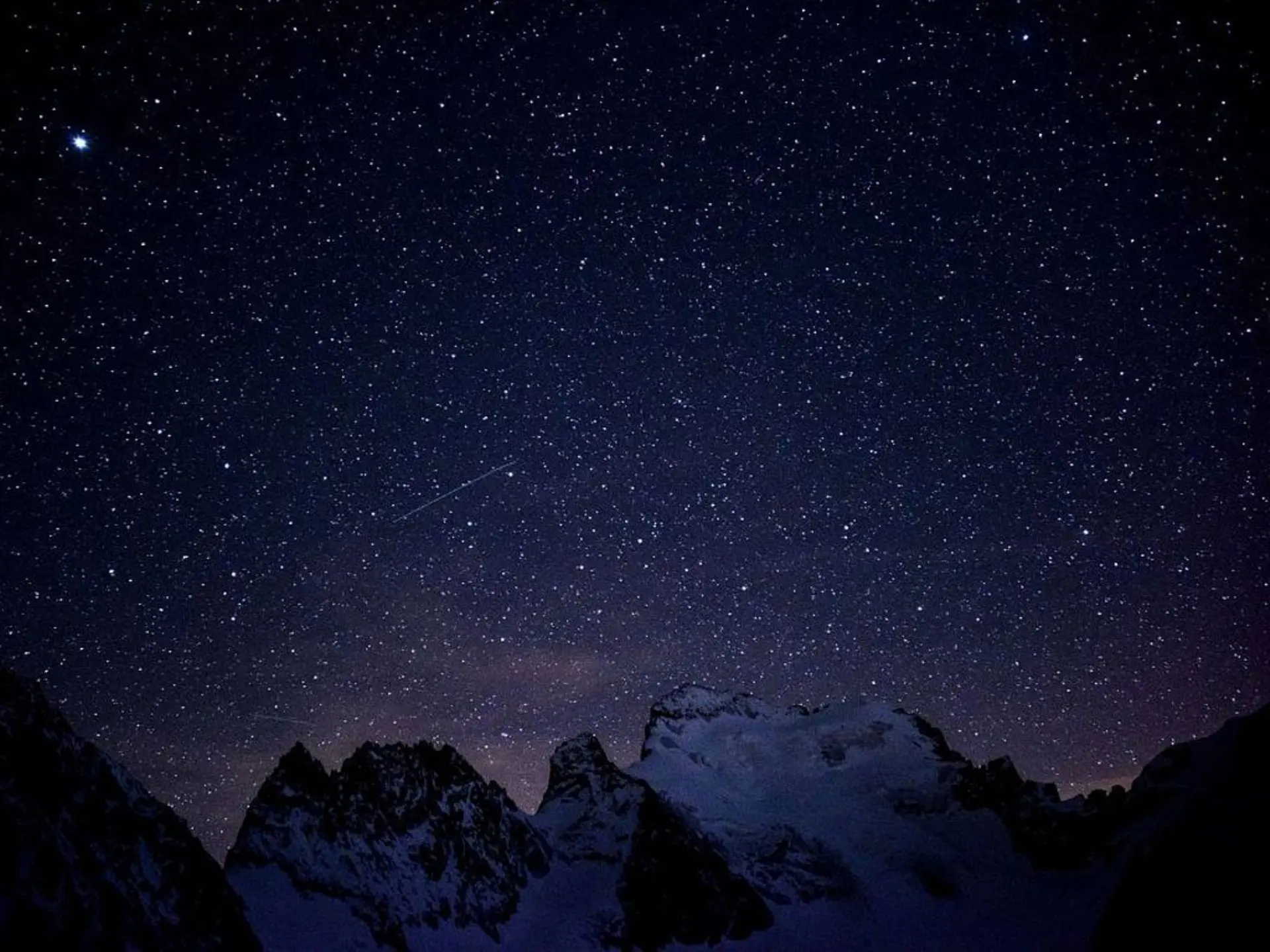 A la découverte de la vie nocturne et du ciel étoilé