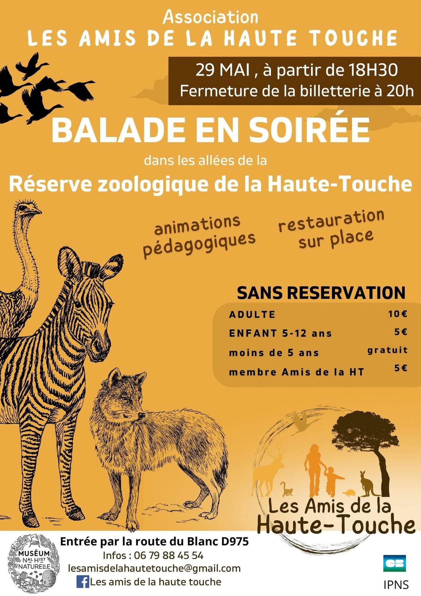 Balade en soirée