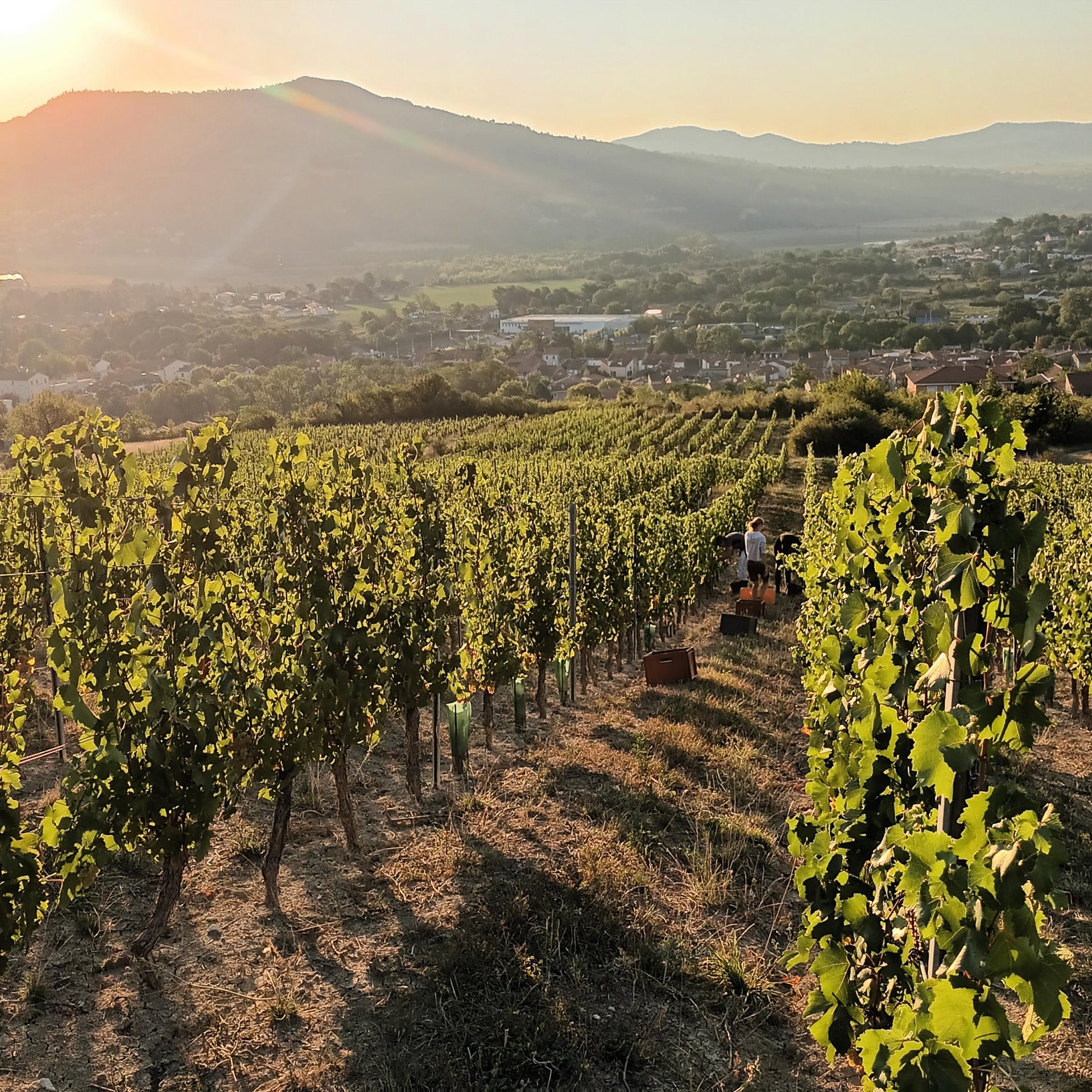 Les Estivales des Chemins de l'Arkose