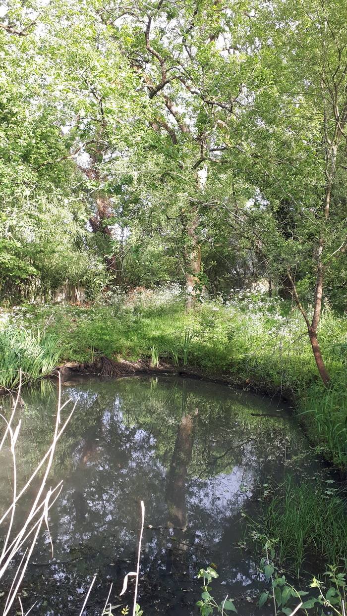 Immersion au sein de l'oasis de nature en ville du Lieu Utile
