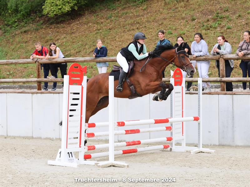 Concours de saut d'obstacles